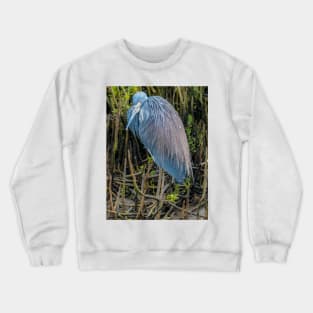 Heron in the Morning Light Crewneck Sweatshirt